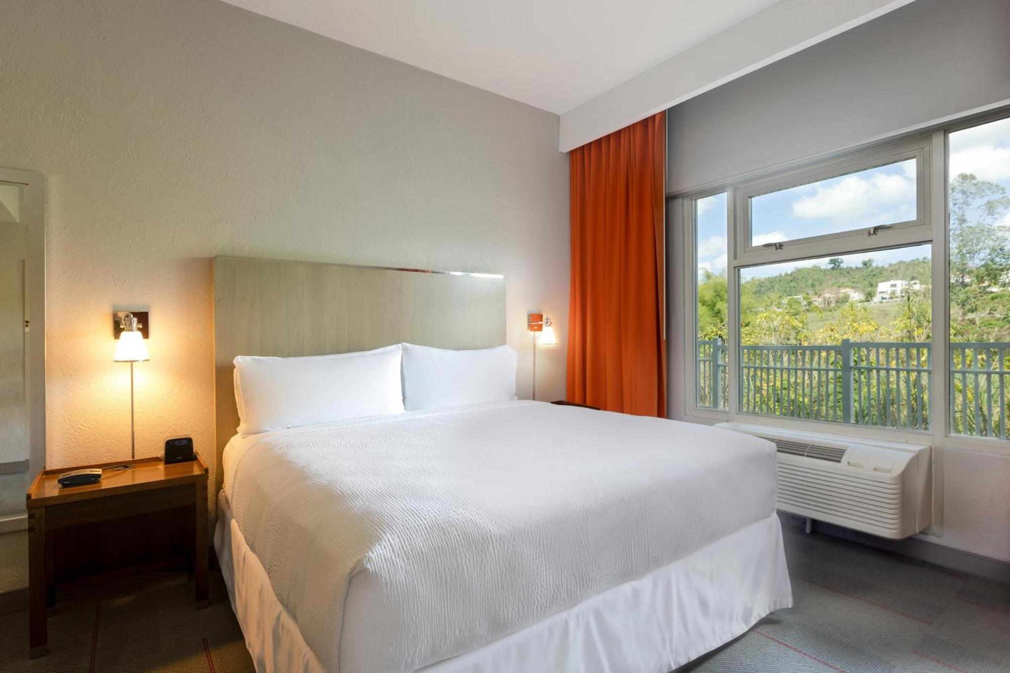 Four Points By Sheraton Caguas Real Экстерьер фото